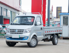 Rich EC-31 PICK-UP 2024 - 1 