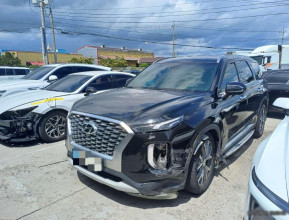 Hyundai Palisade 2019 - 7 