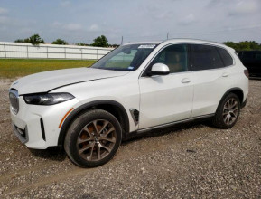 BMW X5 2024 xDrive40i - 1 
