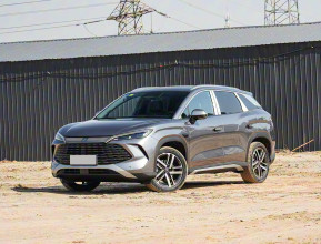 BYD Song L 2025 - 1 