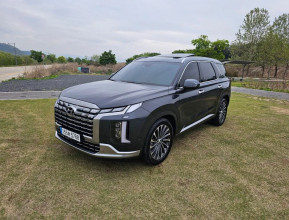 Hyundai Palisade 2023 - 8 