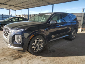 HYUNDAI PALISADE CALLIGRAPHY 2022 - 6 