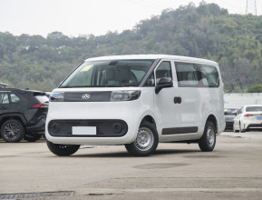 Maxus Dana V1 2024 