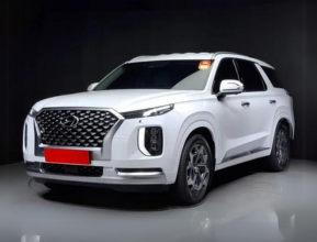 Hyundai Palisade 2021 - 2 