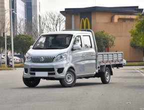 Changan T10EV Pick-Up 2021 - 2 